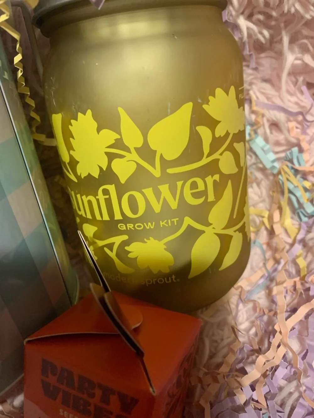 Sunflower grow kit seed key bundle